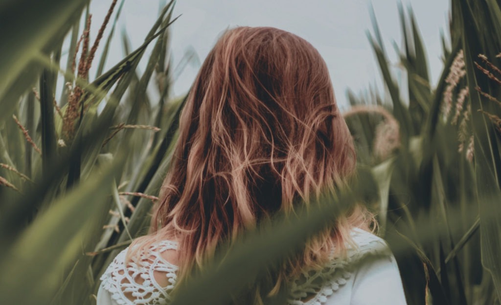 Learn about cannabis with Beyond Hello